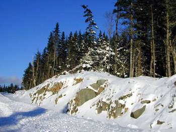 ""    Lawrencetown lake