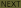 NEXT: Encynova